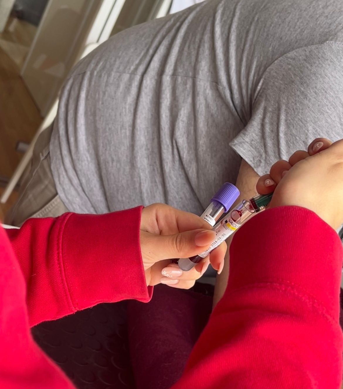 Feline blood donation process - Preparation