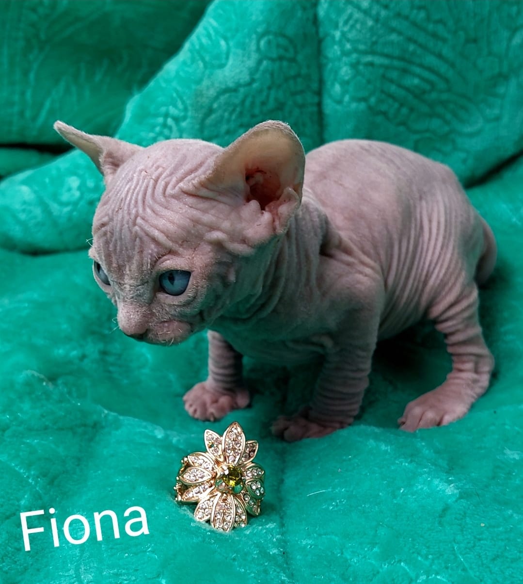 Fiona